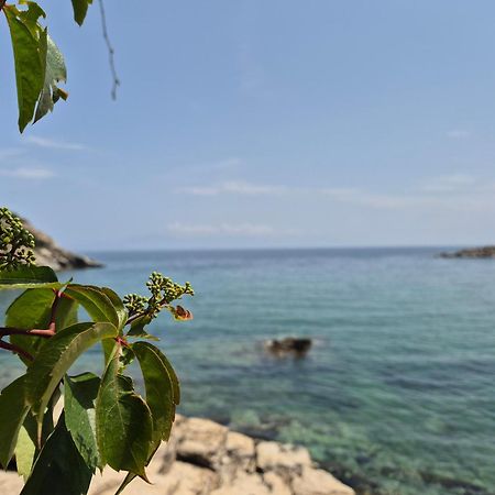 Beach Apartment Palaiontsiflikion Ngoại thất bức ảnh